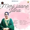 About Meri Jaane Jana Song